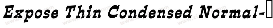Expose Thin Condensed Normal字体转换